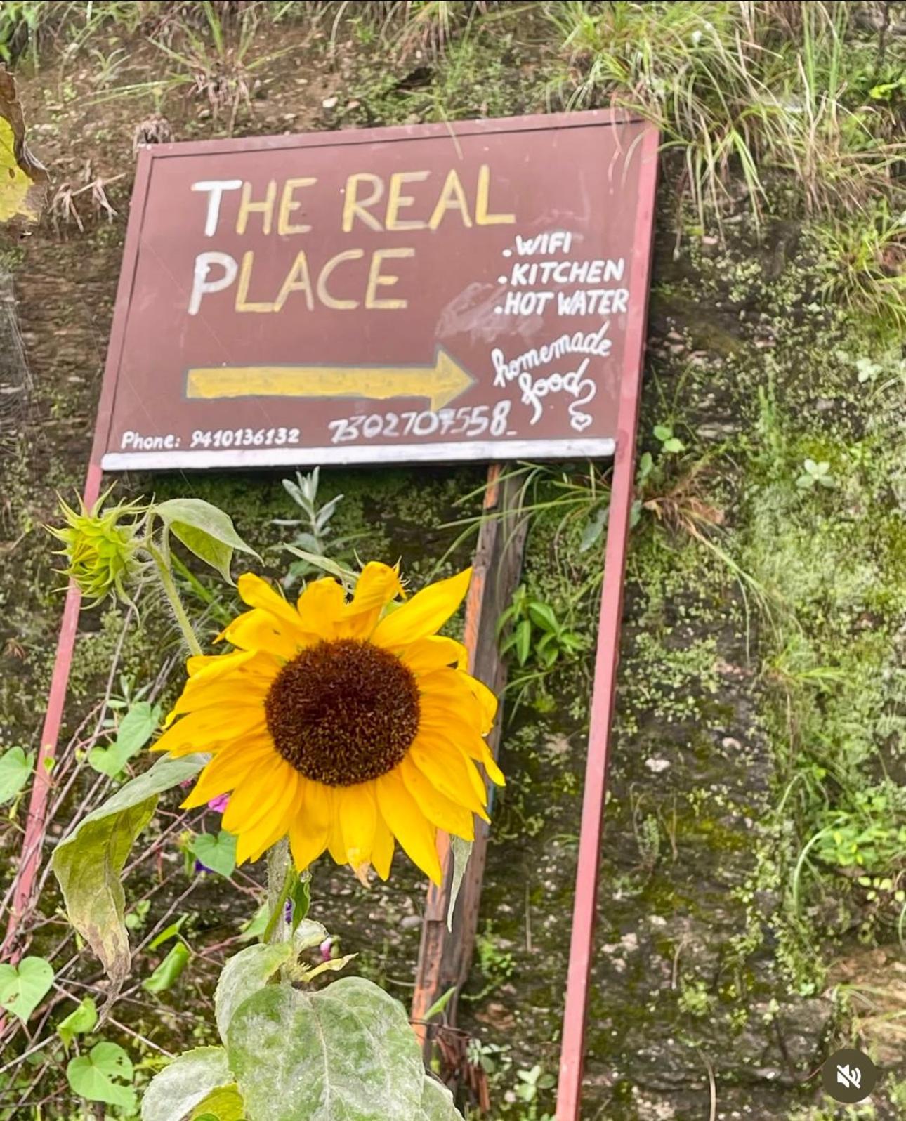 The Real Place المورا المظهر الخارجي الصورة